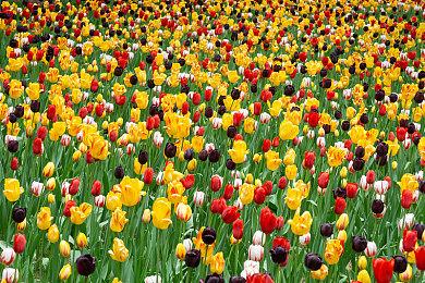 《幸福工厂》5号升级档秋季发布 多处优化和bug修复